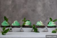 Minty Chocolate Dream Cupcakes
