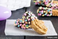 Artisan Chocolate Kissed Biscotti