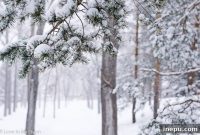 Ten Thursday Takes