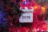 Chapter 11 – 2018