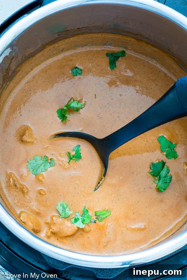 Instant Pot Chicken Tikka Masala close-up