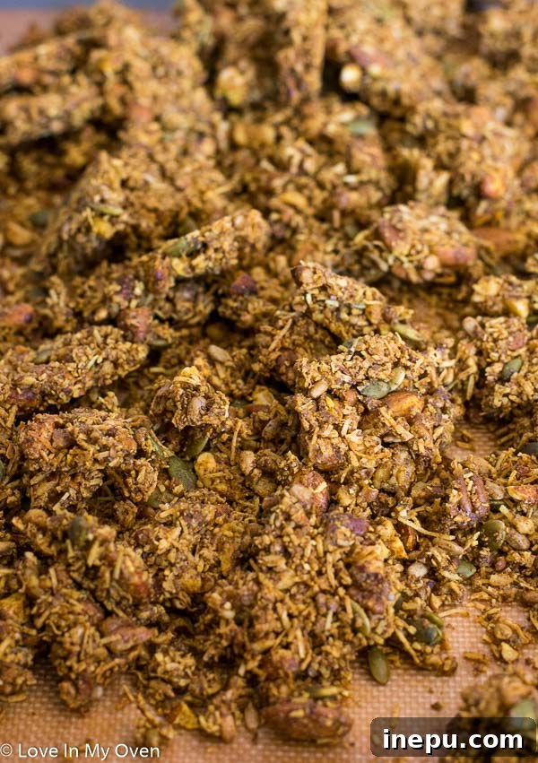 Ancestral Seed & Nut Crunch 5 Crunchy Grain Free Granola Clusters