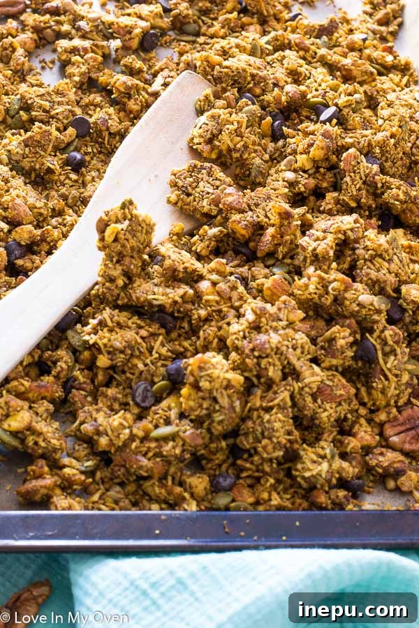 Ancestral Seed & Nut Crunch 6 Grain-free granola with chocolate chips