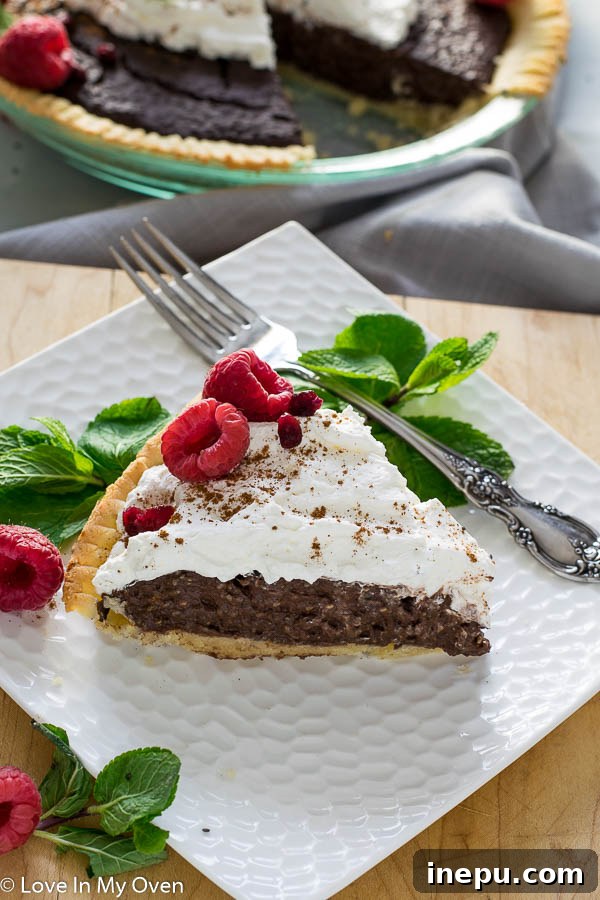 Delicious Homemade Chocolate Chia Pudding Pie Ready to Eat