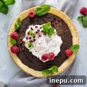 chocolate chia pudding pie