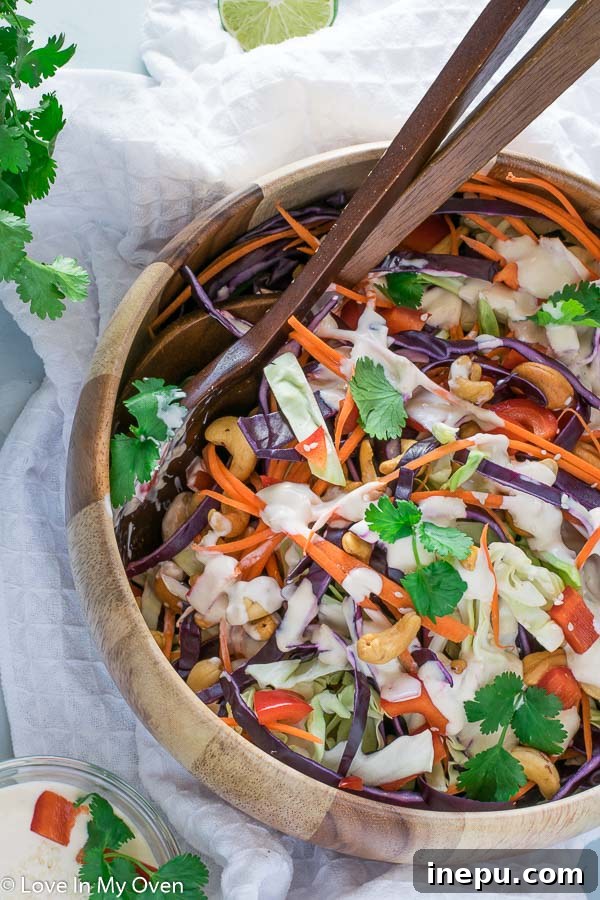 Colorful Cabbage Salad Ingredients