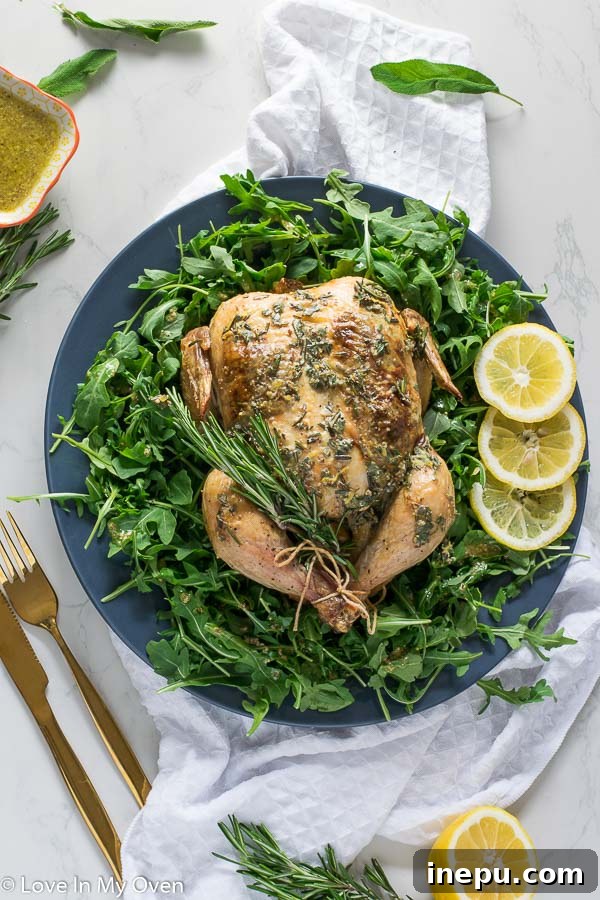 Perfectly roasted chicken with Dijon herb butter, a new family favorite.