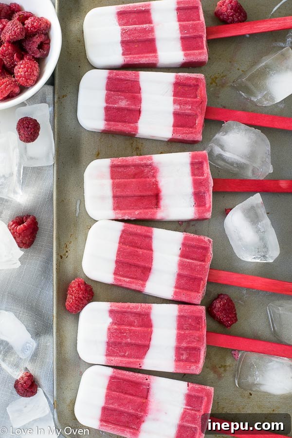 Raspberry Coconut Frozen Delights 4 Close-up of healthy raspberry coconut popsicles showing the creamy texture