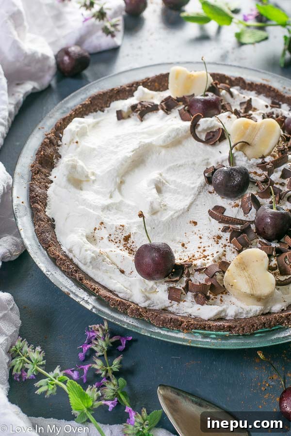 Close-up of Chocolate Nice Cream Pie