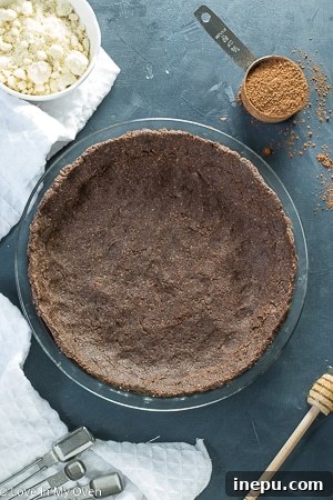 Chocolate Nice Cream Pie with whipped cream