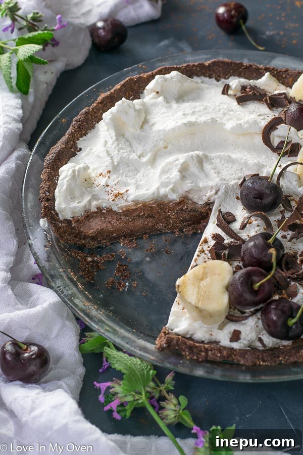 chocolate nice cream pie with a slice taken out