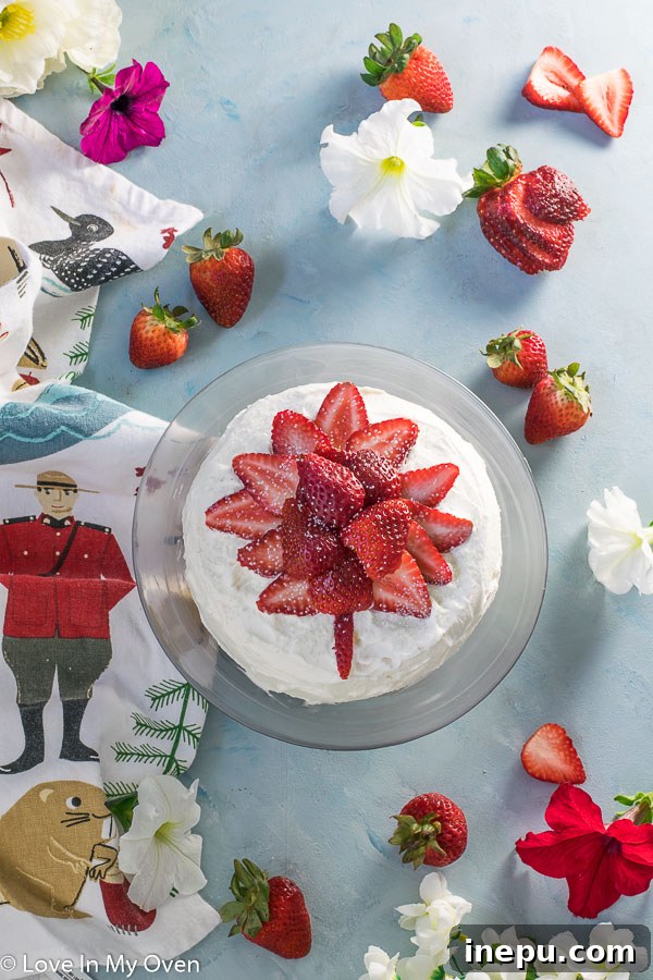 A beautifully decorated mini cheesecake, perfect for Canada Day celebrations for a small family.