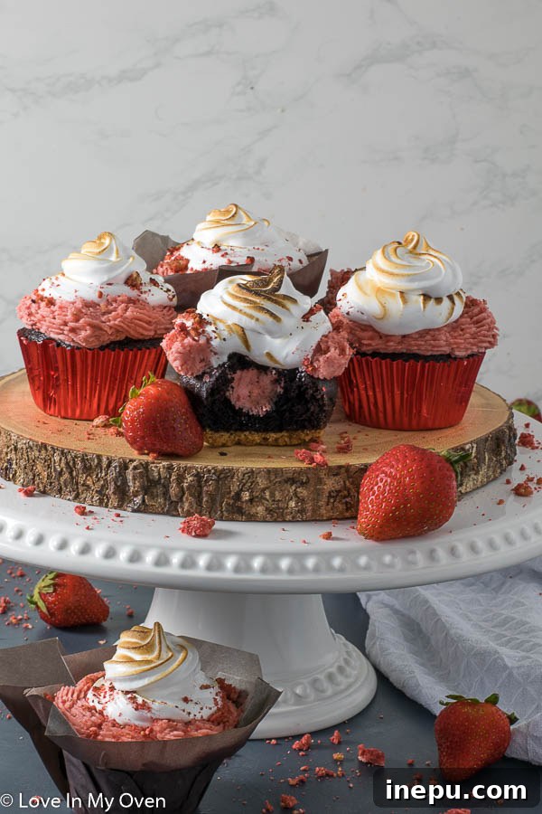 Strawberry S'mores Dream Cupcakes 2 Delicious Strawberry S'mores Cupcakes with toasted marshmallow meringue on top