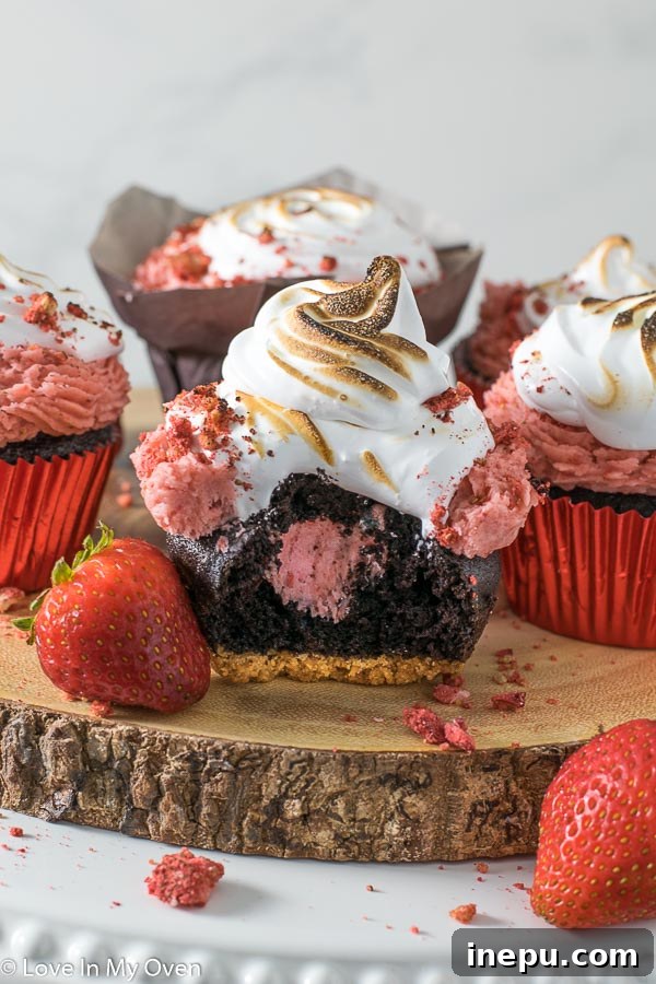 Strawberry S'mores Dream Cupcakes 9 A stunning Strawberry S'mores Cupcake ready to be enjoyed