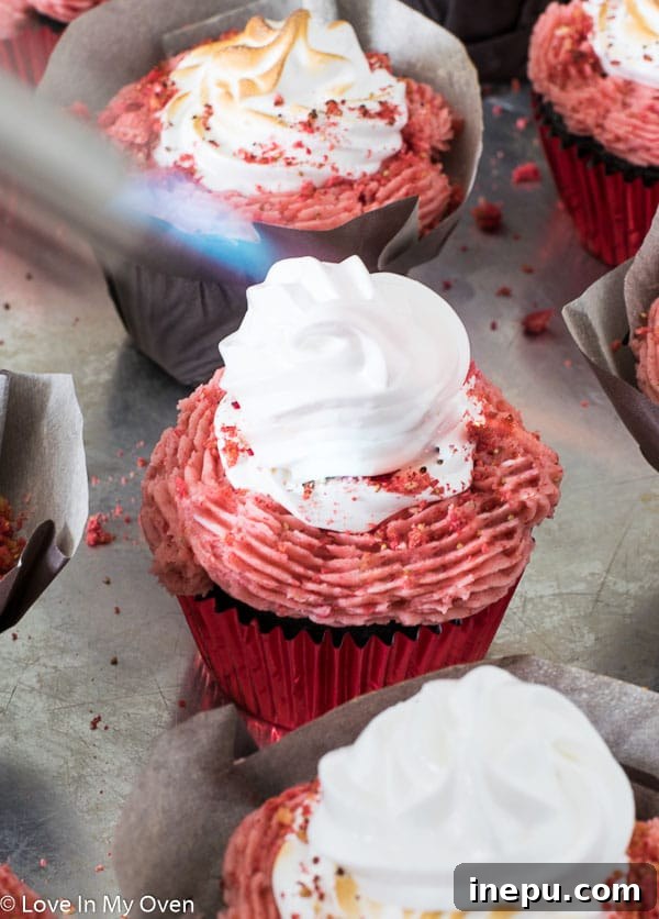 Strawberry S'mores Dream Cupcakes 8 Completed Strawberry S'mores Cupcake with perfectly toasted marshmallow meringue