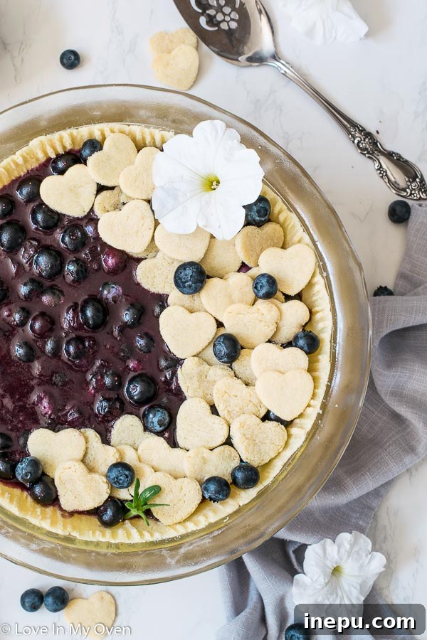 Guilt-Free Blueberry Delight 3 healthy blueberry pie filling setting