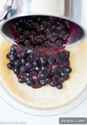 Guilt-Free Blueberry Delight 6 baked almond flour pie crust