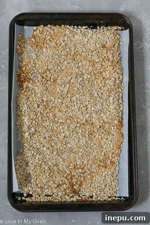 A selection of M&M granola bar ingredients, including oats, coconut, and colorful M&M candies.