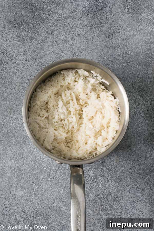 Close-up of fluffy and creamy easy coconut rice