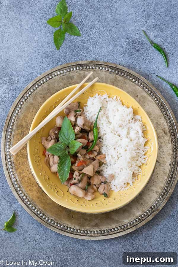 Delicious and easy Thai basil chicken stir-fry served with rice, a perfect quick dinner.