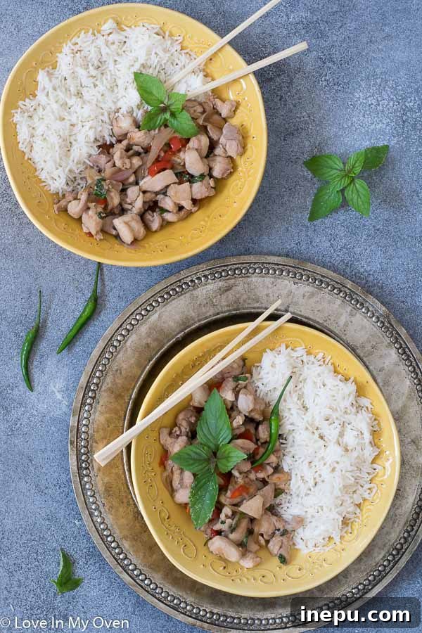 Close-up of freshly cooked Thai basil chicken with wilted basil leaves, ready to be served.