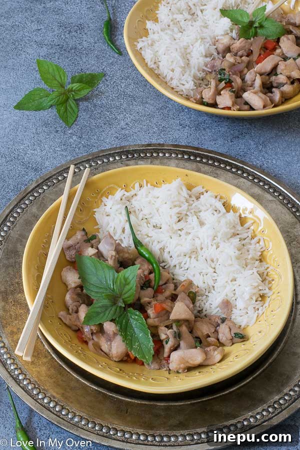 A vibrant plate of Thai basil chicken served over rice, garnished with fresh basil.