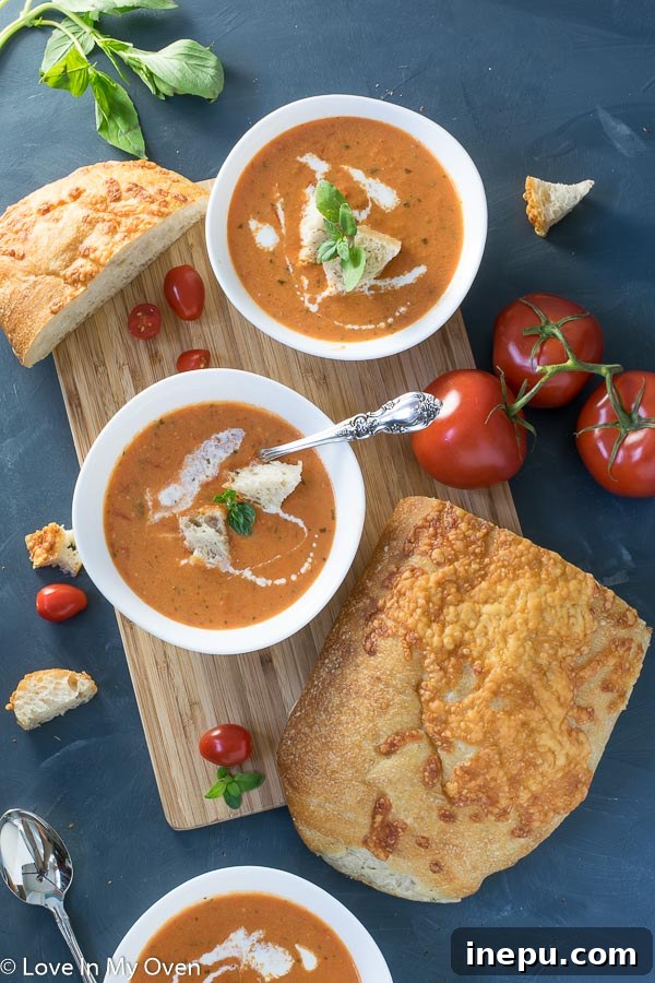 Sun-Kissed Tomato Basil Bisque 2 Creamy Roasted Tomato Basil Soup - Perfect for Fall and Winter
