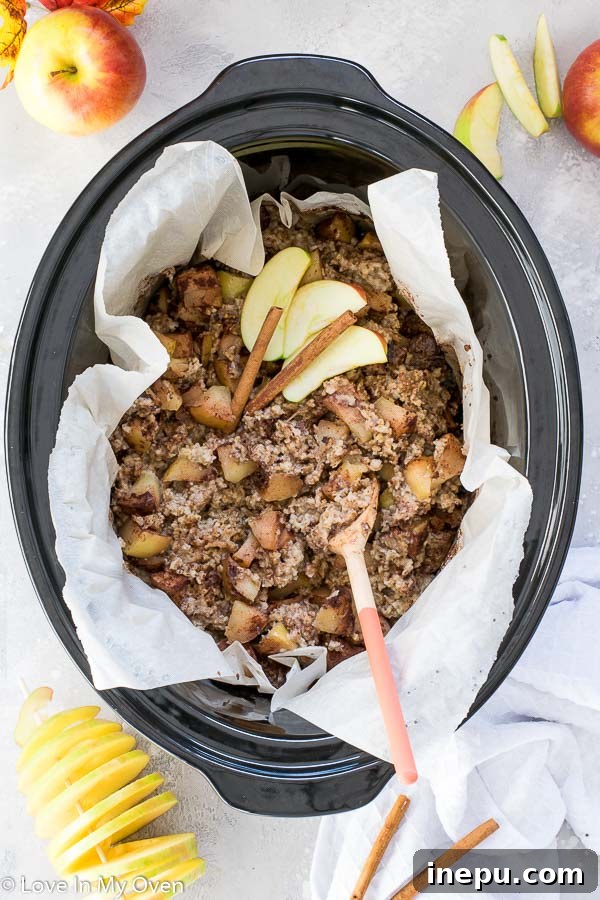 Slow Cooker Apple Pie Oatmeal 2 Delicious Crockpot Apple Cinnamon Oatmeal ready for breakfast