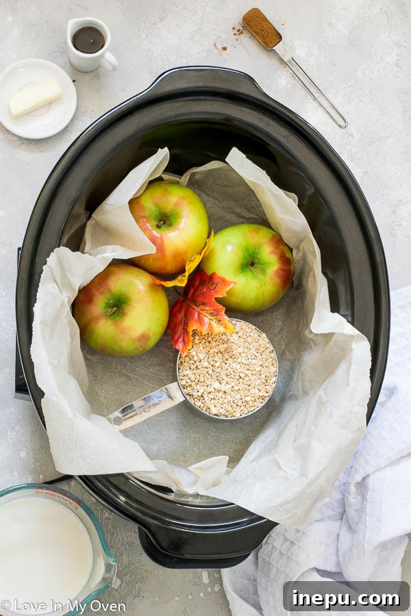 Slow Cooker Apple Pie Oatmeal 3 Diced apples and steel cut oats ready to be combined for slow cooker