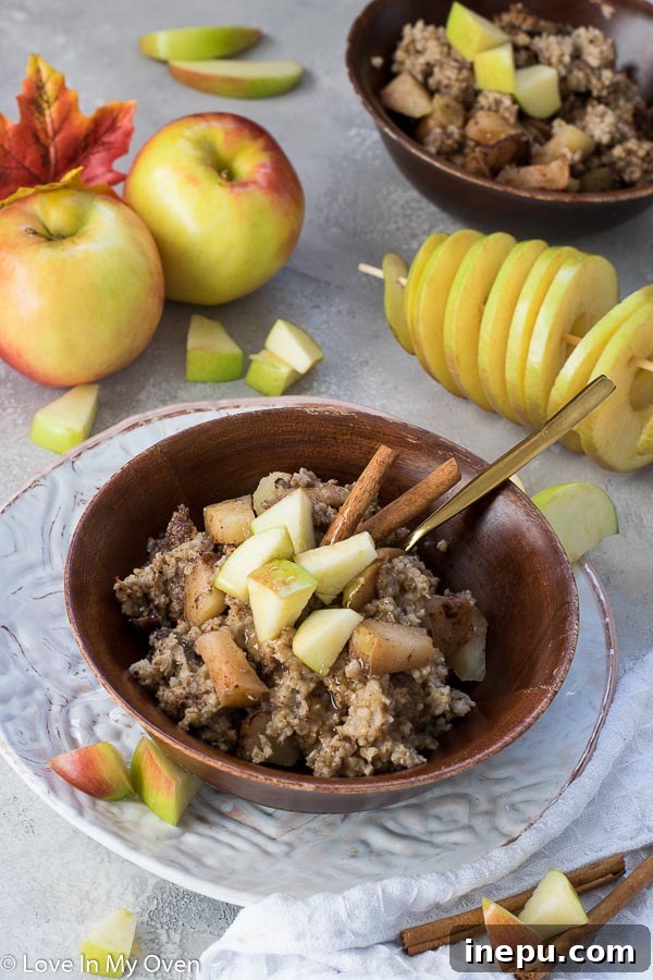 Slow Cooker Apple Pie Oatmeal 6 Serving Crockpot Apple Cinnamon Oatmeal with a spoon into a bowl