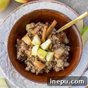 crockpot apple cinnamon oatmeal