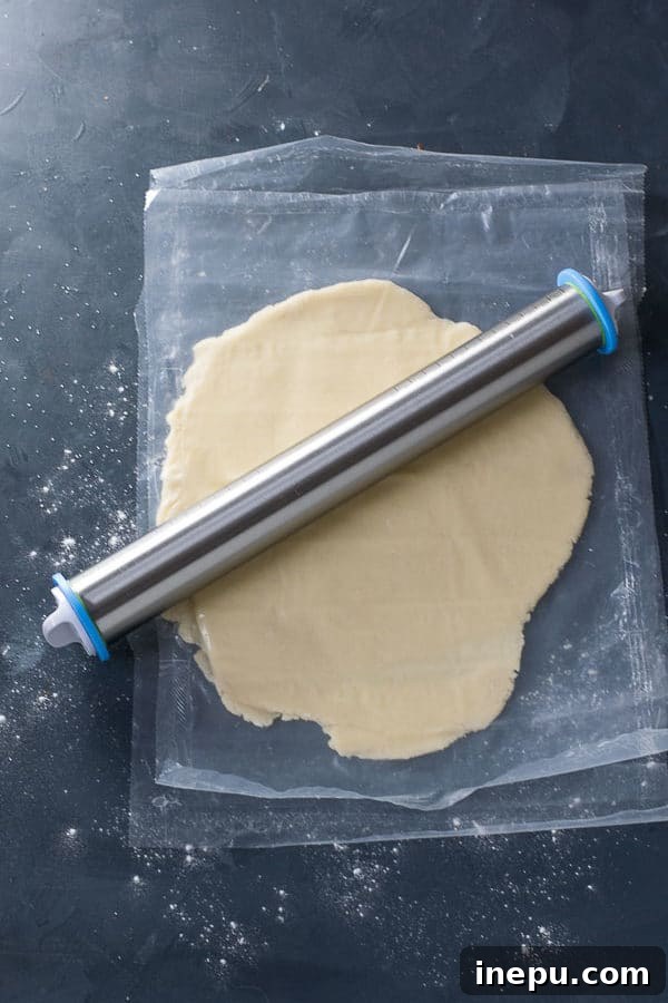 Rolled and Chilled Cookie Dough