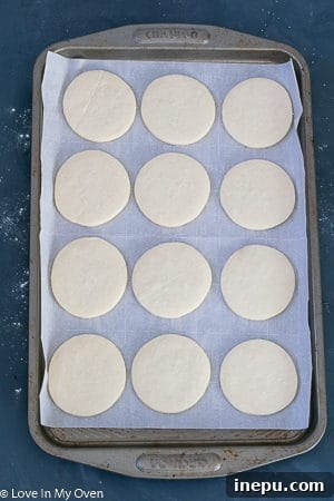 Cookies Ready for Icing
