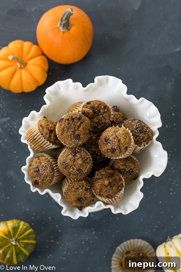 Spiced Pumpkin Bites 2 Irresistible mini pumpkin muffins, a perfect fall treat with chocolate chips