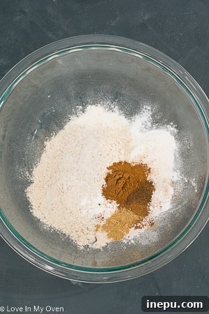 Spiced Pumpkin Bites 3 Mixing dry ingredients for healthy pumpkin muffins