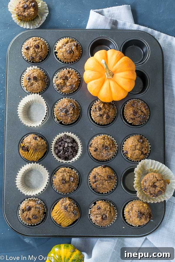 Spiced Pumpkin Bites 6 Close-up of freshly baked mini pumpkin muffins with visible chocolate chips