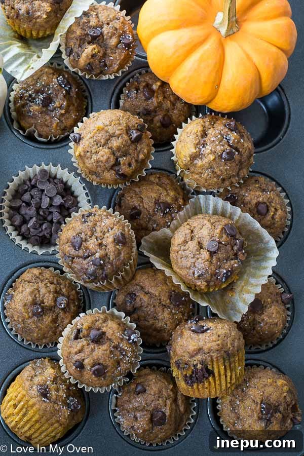 Spiced Pumpkin Bites 7 Serving of mini pumpkin muffins on a plate, ready to be enjoyed