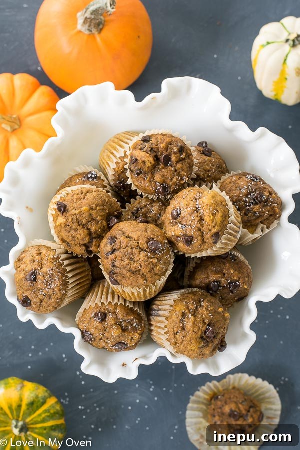 Spiced Pumpkin Bites 8 Beautifully arranged mini pumpkin muffins with festive fall decorations