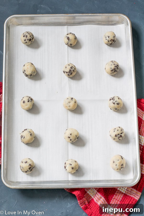 A batch of unbaked chocolate chip snowball cookie dough balls neatly arranged on a baking sheet.