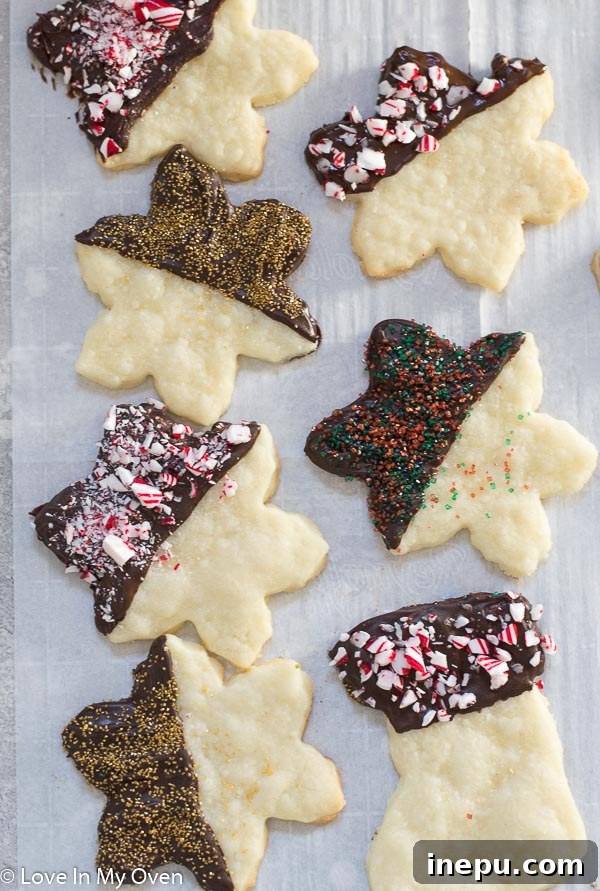 chocolate covered shortbread cookies with festive sprinkles