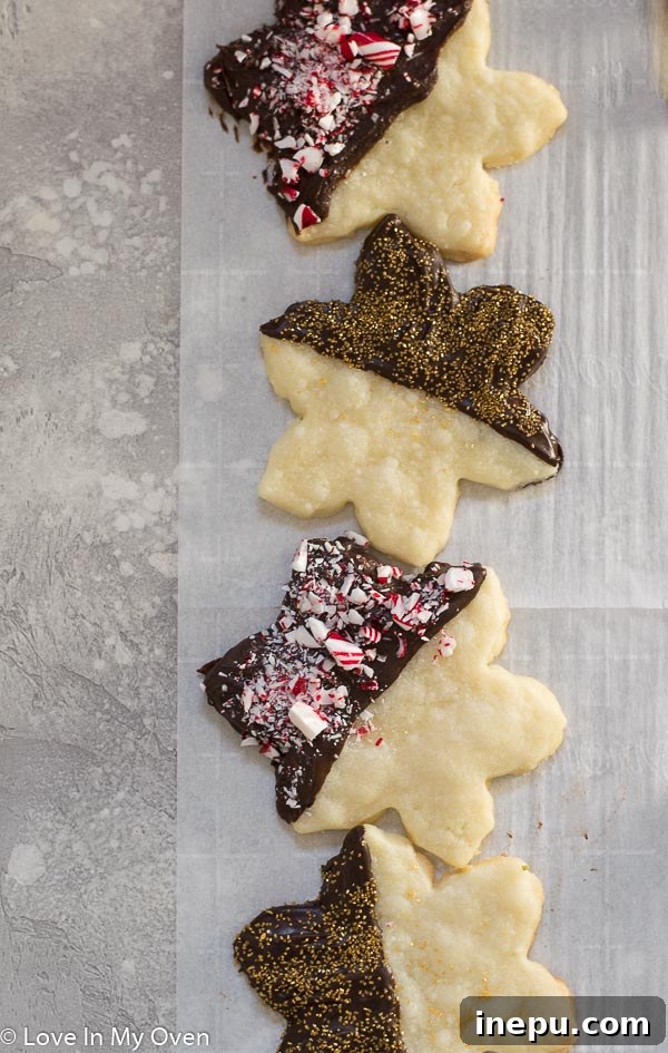pile of chocolate covered shortbread cookies with sprinkles