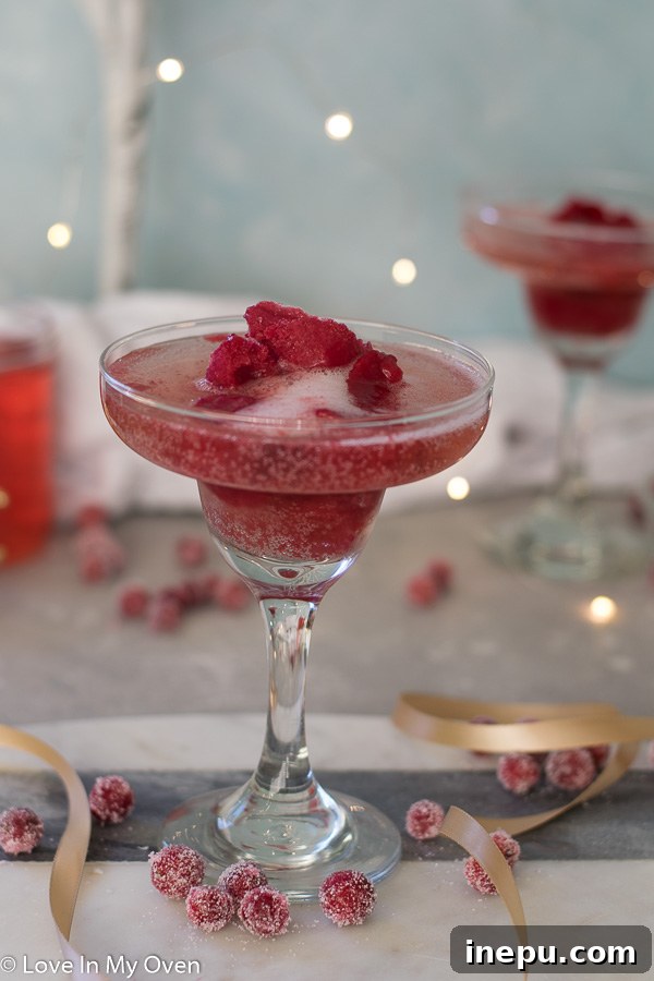 Bubbly Berry Bliss 2 Cranberry Sorbet Champagne Float with fresh cranberries and rosemary garnish