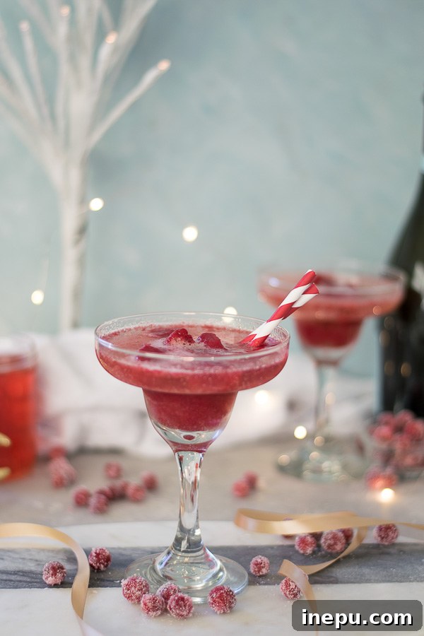 Bubbly Berry Bliss 3 Cranberry Sorbet Champagne Float preparation showing ingredients