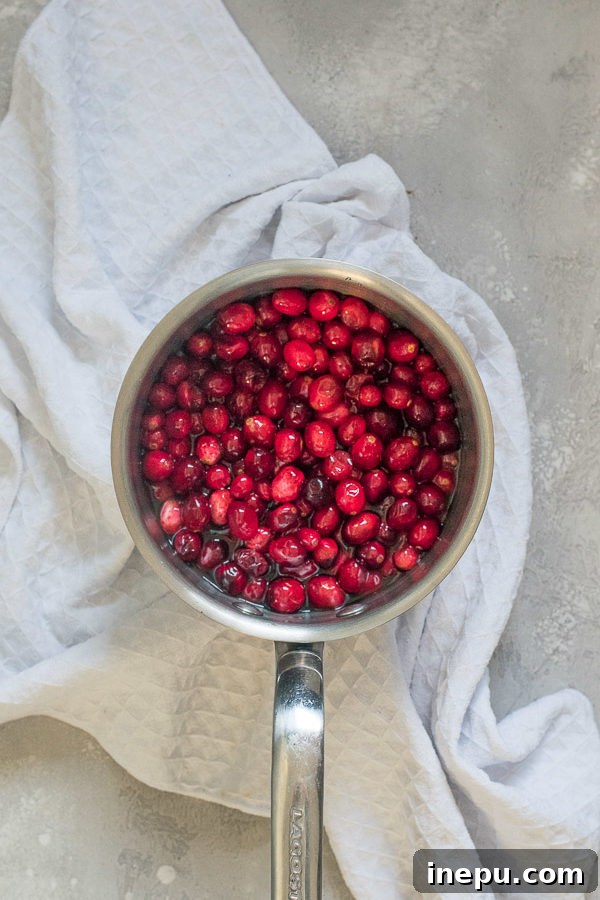 Bubbly Berry Bliss 4 Cranberries simmering in a saucepan with water