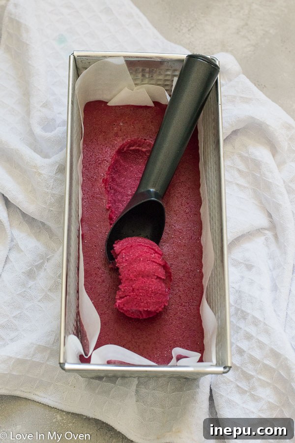 Bubbly Berry Bliss 5 Cranberry sorbet mixture in a loaf pan, ready for freezing