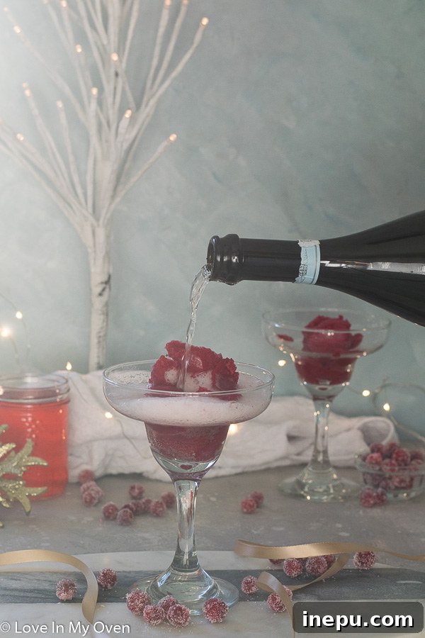 Bubbly Berry Bliss 6 Close-up of a Cranberry Sorbet Champagne Float with garnish