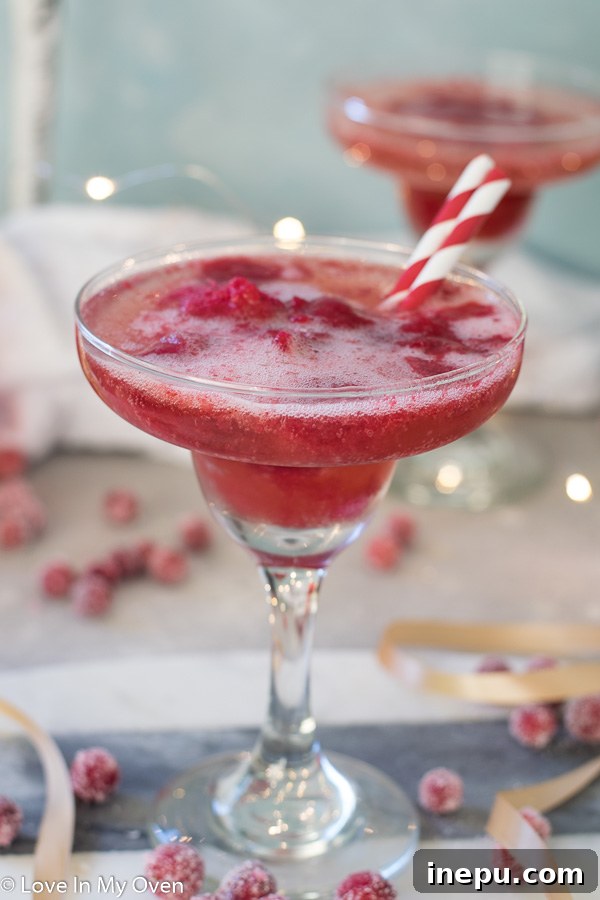 Bubbly Berry Bliss 7 Two Cranberry Sorbet Champagne Floats with garnishes on a reflective surface