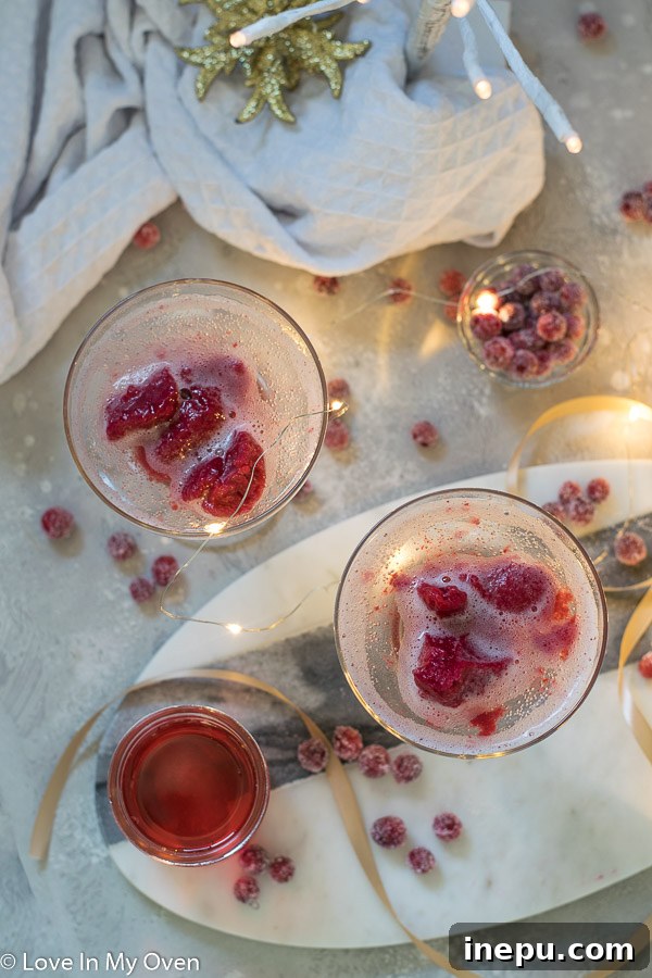 Bubbly Berry Bliss 8 A close-up of a Cranberry Sorbet Champagne Float with sparkling bubbles