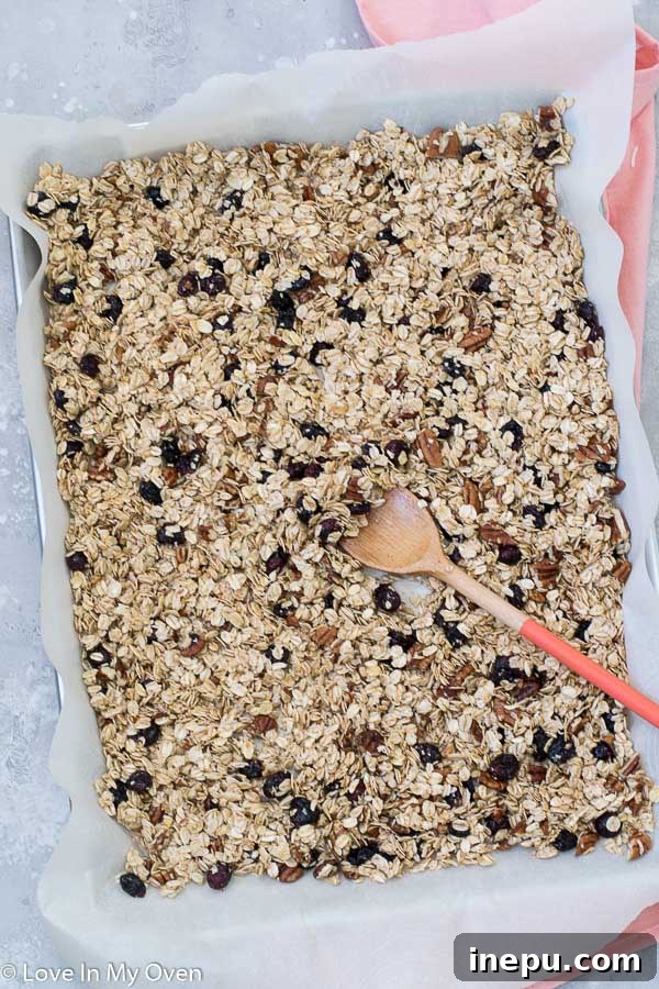 cranberry pecan granola
