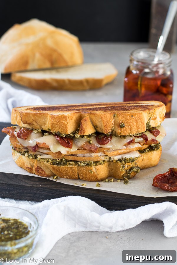 Turkey Pesto Sandwich Close-Up